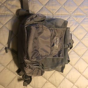 Outward Hound pet backpack Gray